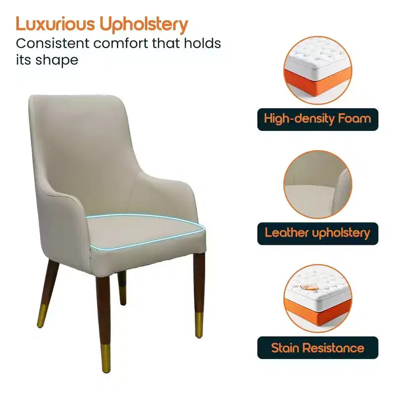 Dining Armchair in Leather Upholstery with Gold Accent Wood Legs for Modern Kitchen and Home
