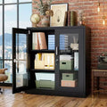 Tool Storage Cabinet Black Steel 2-Door Glass (Pre-Hole)
