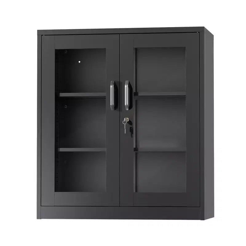 Tool Storage Cabinet Black Steel 2-Door Glass (Pre-Hole)